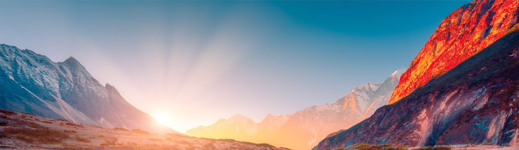 关于金年会金字招牌